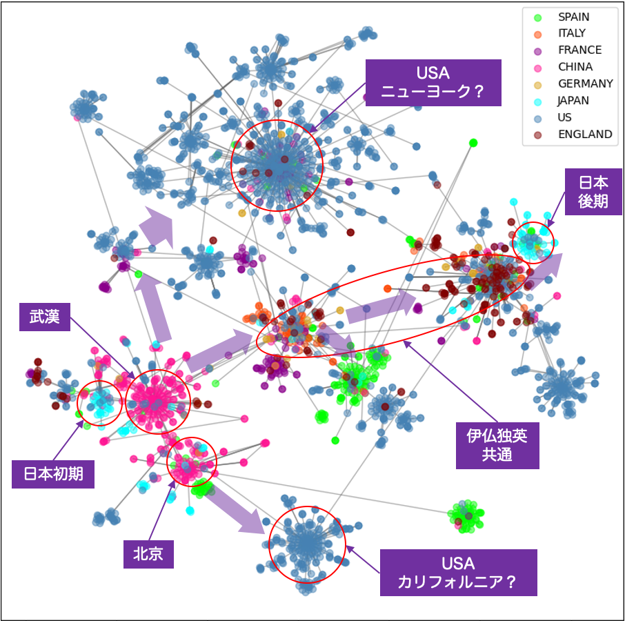 COVID19のRNA変異系統図、簡単な操作で分析が可能。